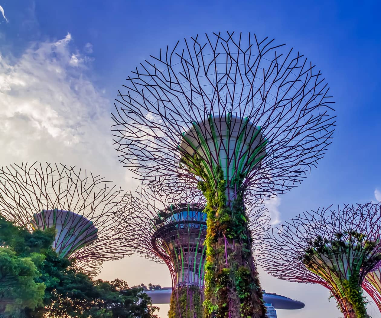 asia-tour.jpg